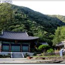용문마을 (용문마을회관방면) 이미지