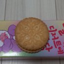 샌드베어 이미지