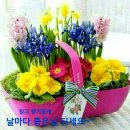 좋은아침 이미지