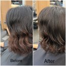 조이 동물 재활클리닉 | 신논현미용실 클리닉 CHOP헤어신논현점(소이 디자이너)