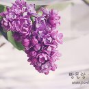 집앞 - 강남구 역삼로64길 11 | 집앞