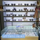 트렌디존 | 대전 관저동 안경점｜다양하고 트렌디한 관저스위스안경에서 넛지 선글라스 구매 후기
