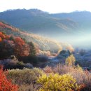 비밀의 정원 이미지