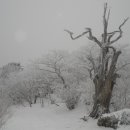 하늘그림 이미지