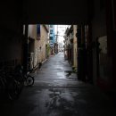 상념의 정원 | 일본 간사이 여행 [250922-0926] 4일차 Okayama&amp;Osaka, Kansai, Japan