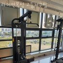 라이언복싱gym 이미지