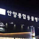 대동동물병원 이미지