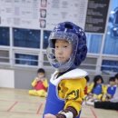 건강한태권도 이미지