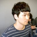 스왈로 이미지
