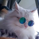 주둥이