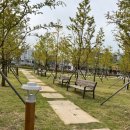 디오션시티 철길공원 이미지