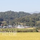 단촌1 티스토리