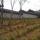 장군이5