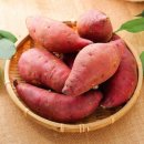 주식회사 황토인 | 해남 황토 햇 꿀 고구마 10kg 밤고구마 베니하루카 한입 5kg 3kg 호풍미 호박고구마