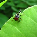 서부대로2 이미지