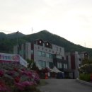 은행나무연수원 이미지