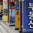 대통령부동산공인중개사사무소 연합뉴스TV
