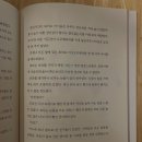 고양이의서재 이미지