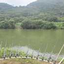 청도천2 이미지