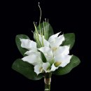 풀향기한의원 이미지