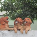 현충원역 3번출구 이미지