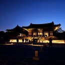 고향달머무는곳 | 서울 북촌 가볼만한 곳 창경궁 야간개장(ft.물빛연화 하이라이트, 야경투어 후기)