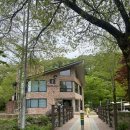 임실초등학교 | [관촌카페] 임실베이커리카페 :: 사선대 대형카페 ‘포레드노드’ 추천후기