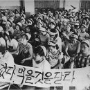 일동무역