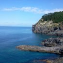 독도카타이어 | 울릉도 여행의 시작과 끝을 편하게 독도렌트카 울릉본점