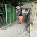 강마을민박 이미지