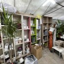 보라꽃화원 이미지