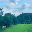 하늘천식당 이미지