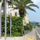 강정동-66 이미지