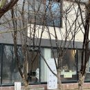 더피플 | 수원 신동 요가 ‘요가투더피플’ 초보자 수련 후기 (주차, 시간표 총정리)