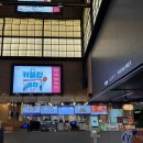 왕십리 CGV 캡틴아메리카 - 브레이브 뉴 월드 쿠키영상 O 관람후기