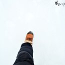 곰비임비 이미지