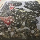 국립수산과학원 이미지