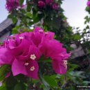 조종로50번길 이미지