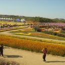 잔치마당 이미지