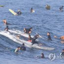 파도 이미지