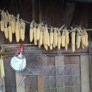 하늘솔황토민박 이미지