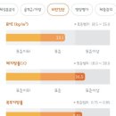 코오롱글로벌(주) 교대센터 | 교대 지방추출주사 복부 찐당일 후기! 통증과 붓기 상태
