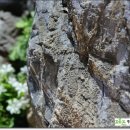 오백년이야기 이미지