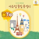 (유)전라해외관광여행사 | 떠나자 유럽! 1탄 - 서유럽 여행 꿀팁 총정리 #노랑풍선 #중랑구여행사 #유럽여행