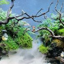 아쿠아 밸리 이미지