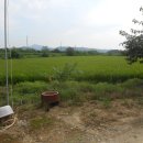 연천부동산공인중개사사무소 이미지