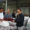 영양농협가공사업소 이미지