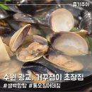 수원 광교 해물맛집 거꾸잽이 초장집