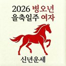 계성인력 | [2026 신년운세 병오년] 을축일주 여자