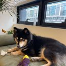 소호한의원 이미지